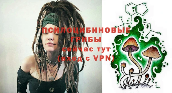 мяу мяу мука Кукмор