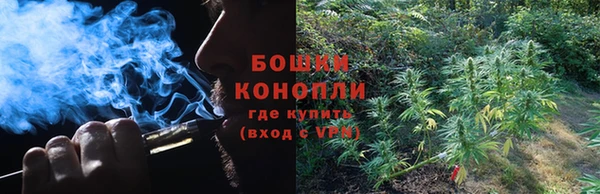мяу мяу мука Киров