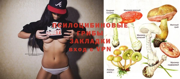 мяу мяу мука Кукмор
